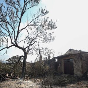 dikkat yurt genelinde risk cok yuksek ormanlar icin dort onemli uyari yJyuqUXu