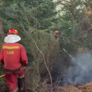 ispanyol ordusu leondaki orman yanginlariyla mucadele ediyor iKaheyln