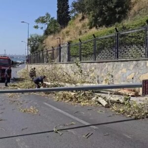 uskudarda agac devrildi trafik kesildi cRtAtXmA