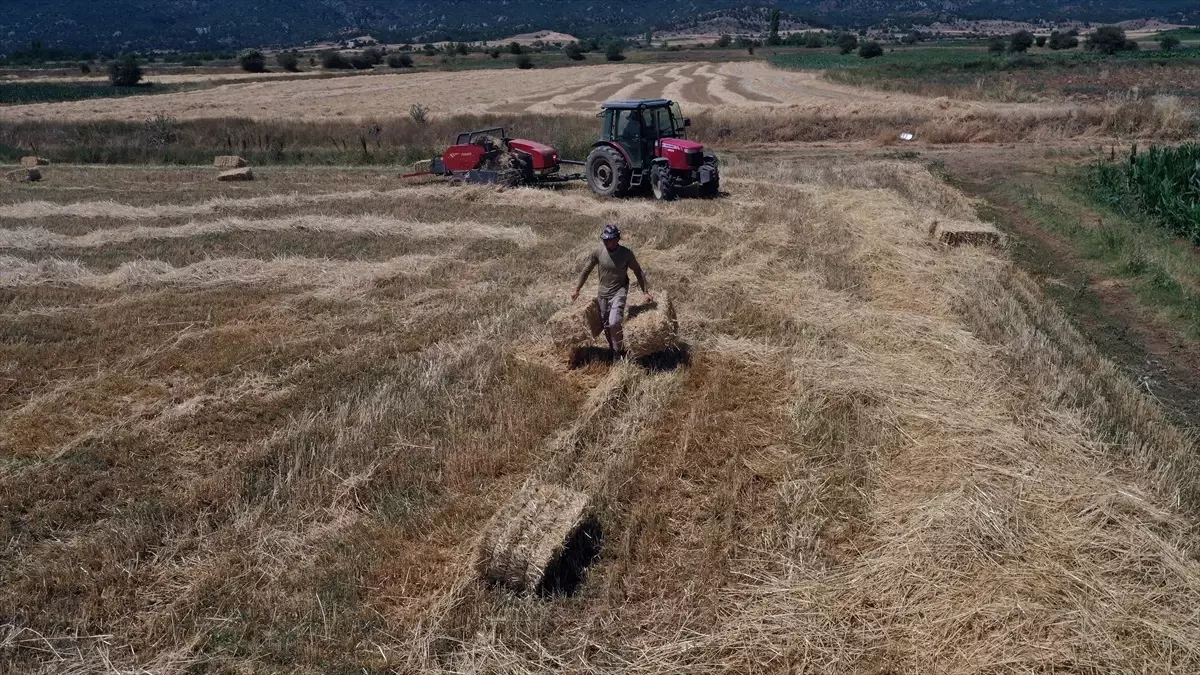 ciftciligi secen universite mezunu cift fGkjWc3Y