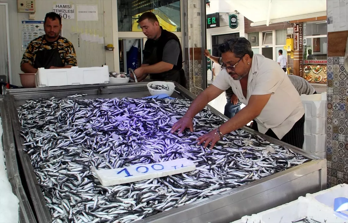 hamsi avciligi umit veriyor z5nzOQOw