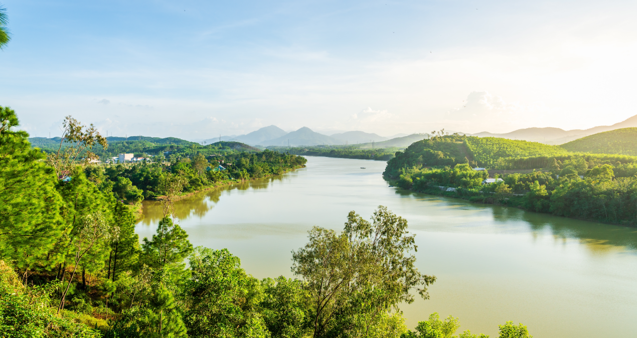 sirf bu nehrin kokusu icin binlerce kilometre yol gidiyorlar iste nedeni AaGxTdPH