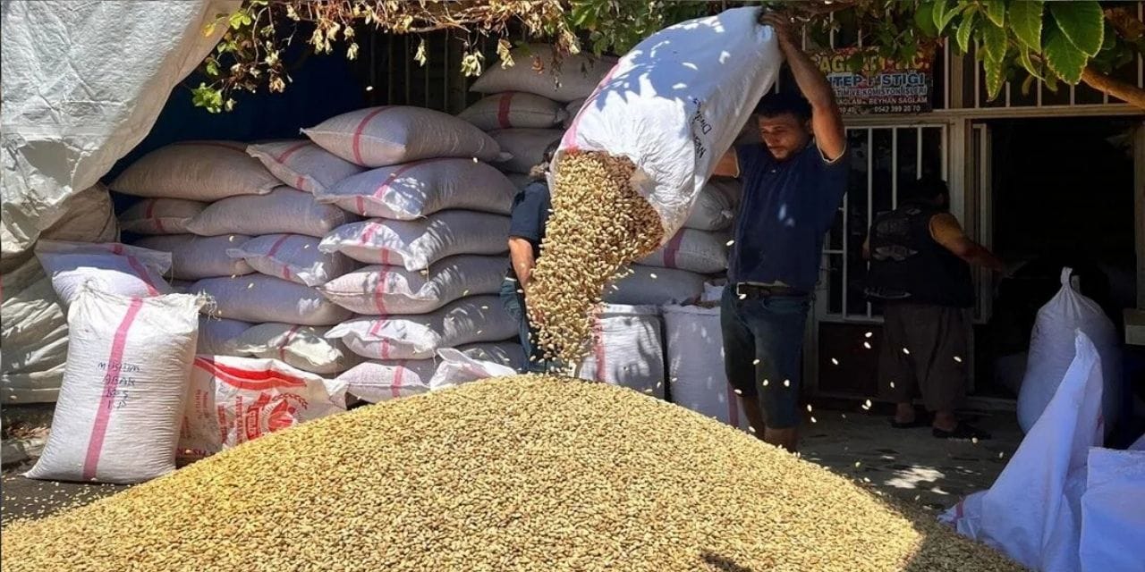 sanliurfada kriz buyuyor 2 bin liraya kadar alici buluyor YngISKaW