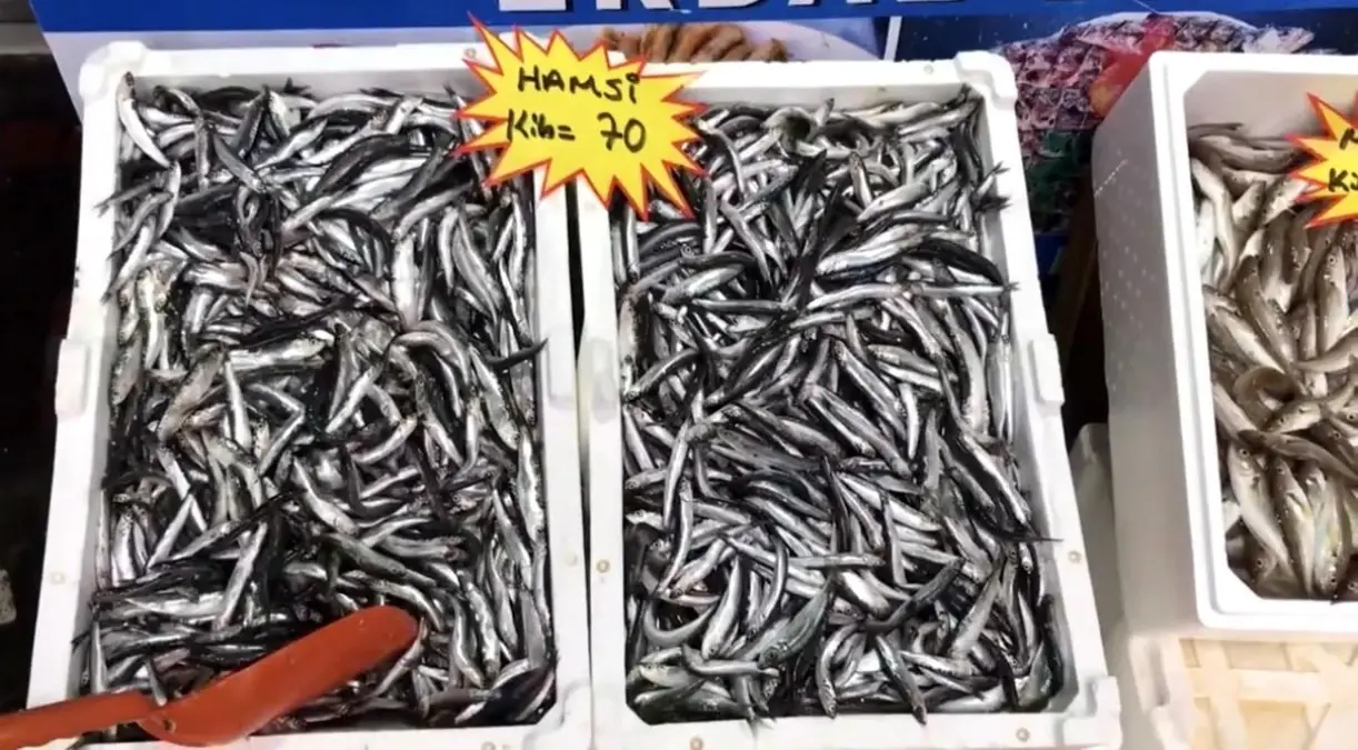 akcakoca balikci barinagi baskanindan taze balik uyarisi SanmSZh7.jpg