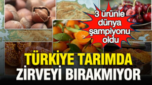 turkiye-tarimda-zirveyi-birakmiyor-3-urunle-dunya-sampiyonu-oldu-Zxskb8uX