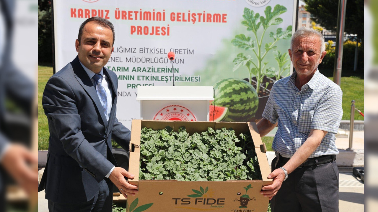 Edirne’de Çiftçilere 60 Bin Aşılı Karpuz Fidesi Dağıtımı Yapıldı