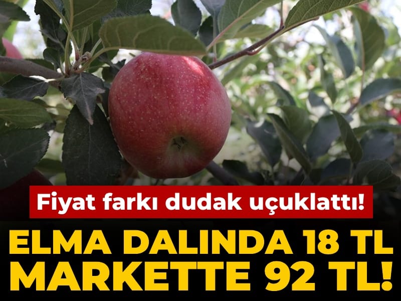 Elma Tarlada 18 TL, Markette 92 TL! Fiyat Farkı Şaşkınlık Yarattı