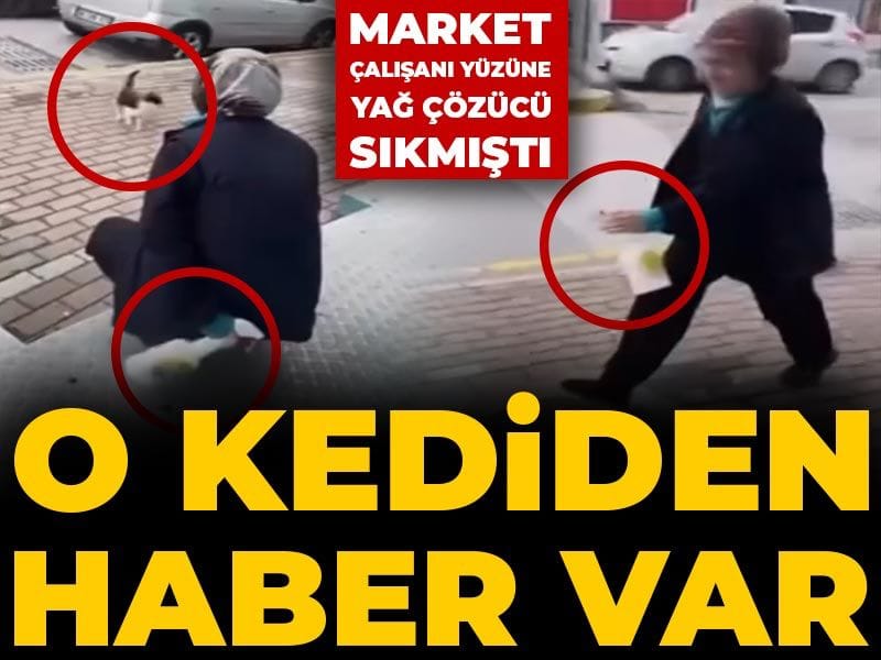 Karamürsel’deki Hayvana Şiddet Olayında Kedi İçin Sevindirici Gelişme